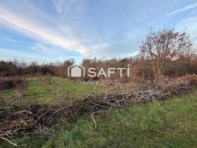 Vente Terrain 2574 m2 L'Ile d'Olonne