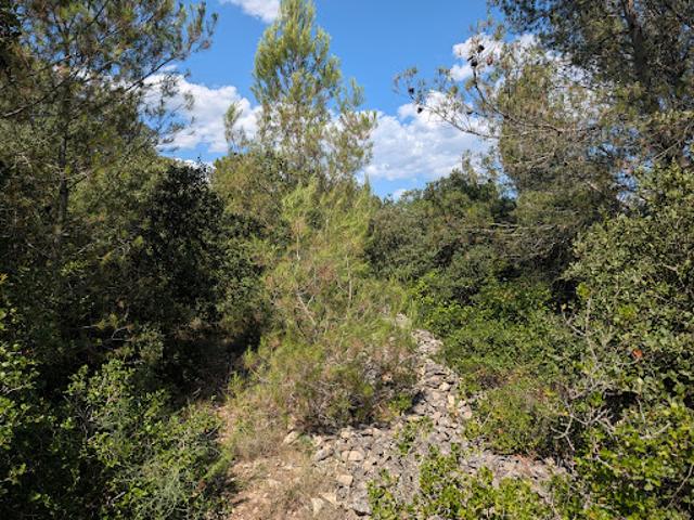 Vente Terrain 2584 m2 Milhaud