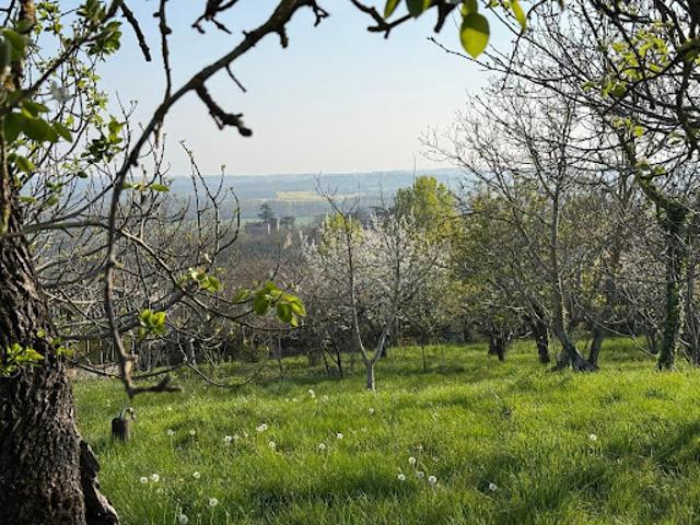 Vente Terrain 2590 m2 Deyme