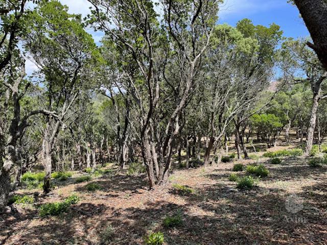 Vente Terrain 25956 m2 Saint raphael