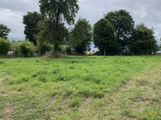 Vente Terrain 2600 m2 Fort Moville