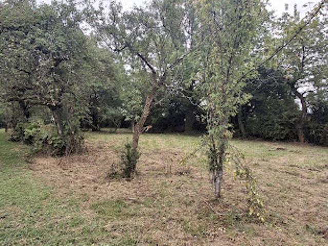 Vente Terrain 2600 m2 Les Aix d'Angillon
