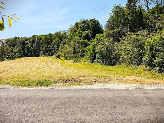Vente Terrain 2619 m2 Rambouillet