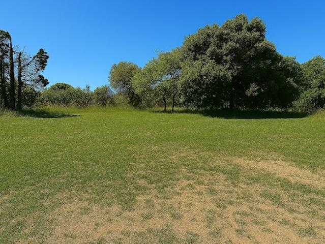 Vente Terrain 264 m2 Mus