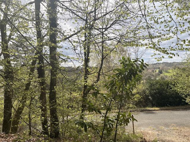 Vente Terrain 2650 m2 Notre Dame de Sanilhac