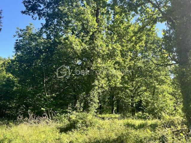 Vente Terrain 2666 m2 Grayan et l'Hôpital