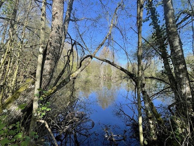 Vente Terrain 26 m2 Authon du Perche