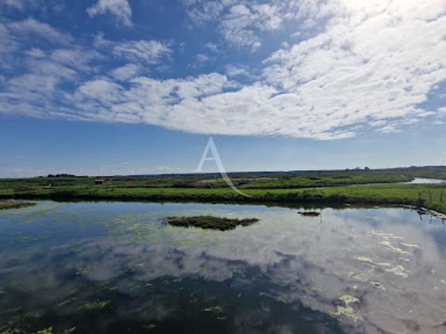 Vente Terrain 27235 m2 Talmont Saint Hilaire