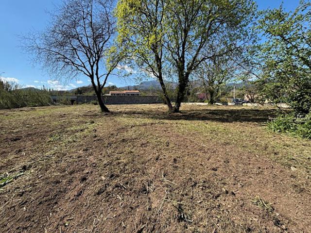 Vente Terrain 2732 m2 Venzolasca
