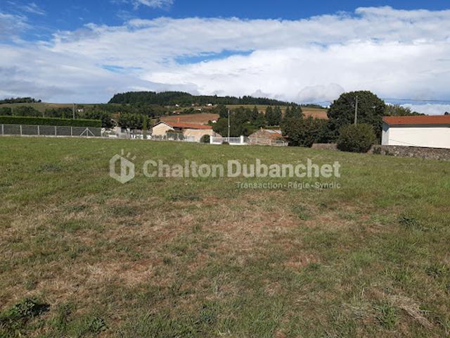 Vente Terrain 2738 m2 Montchal