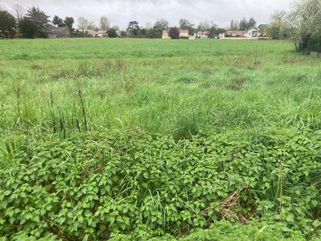 Vente Terrain 277 m2 Libourne