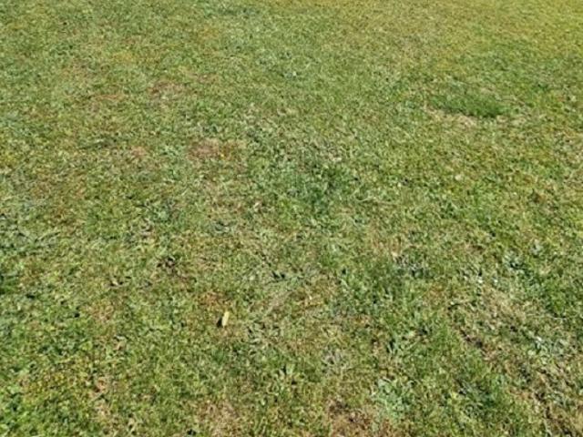 Vente Terrain 277 m2 Saint Augustin
