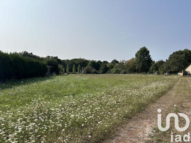 Vente Terrain 2744 m2 La Marolle en Sologne