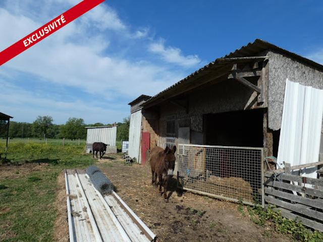 Vente Terrain 27457 m2 Alençon