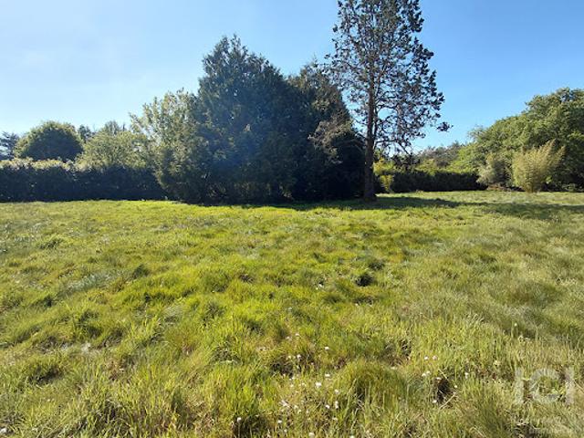 Vente Terrain 2746 m2 Sautron