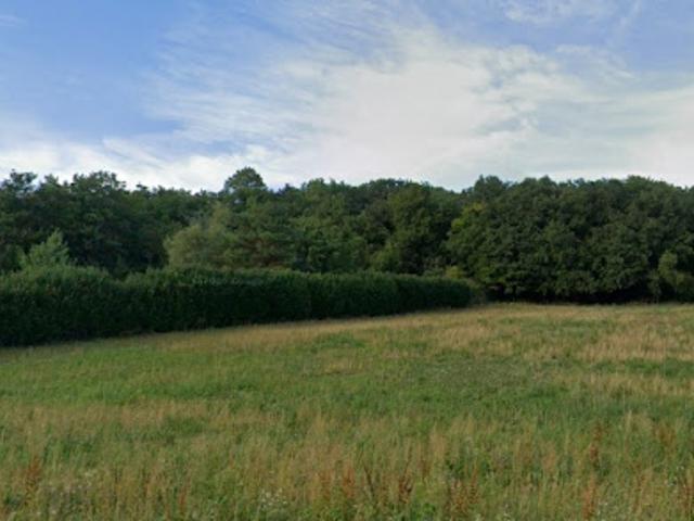 Vente Terrain 2757 m2 Saint Sulpice de Favières