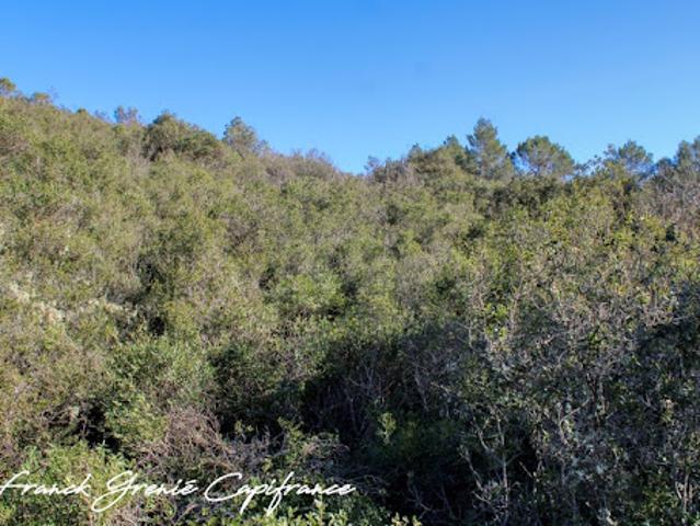 Vente Terrain 27600 m2 Tourves