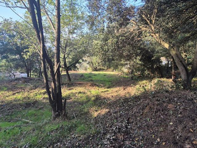 Vente Terrain 2767 m2 Bagnols sur ceze