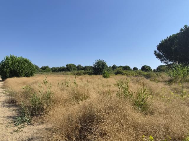 Vente Terrain 276 m²
