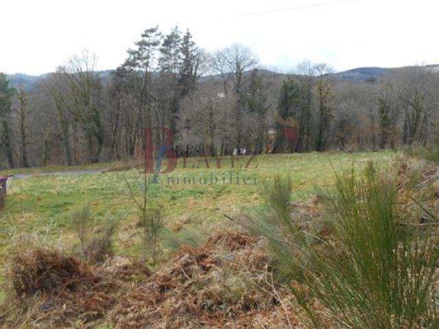 Vente Terrain 2770 m2 Egletons