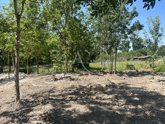 Vente Terrain 2780 m2 La Taillée