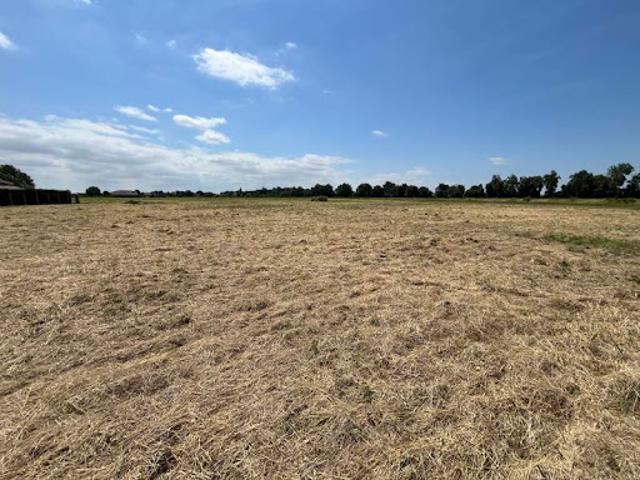Vente Terrain 2796 m2 Castelsarrasin