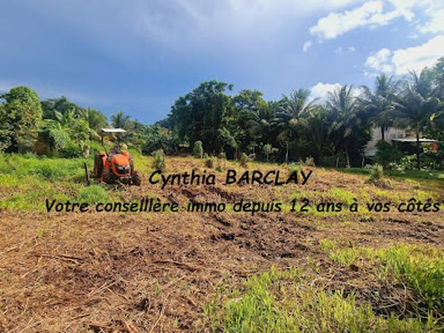 Vente Terrain 2799 m2 Ducos