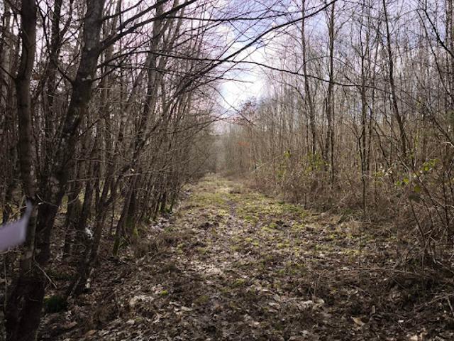 Vente Terrain 280000 m2 Romorantin Lanthenay