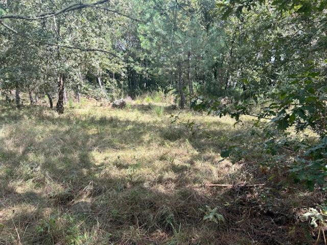 Vente Terrain 2800 m2 Mézos
