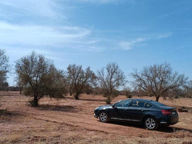 Vente terrain 2800 m² à Marrakech