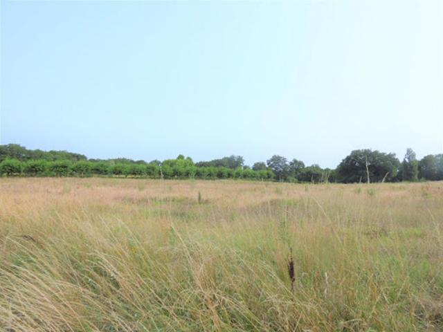 Vente Terrain 2802 m2 Saint Aubin de Cadelech