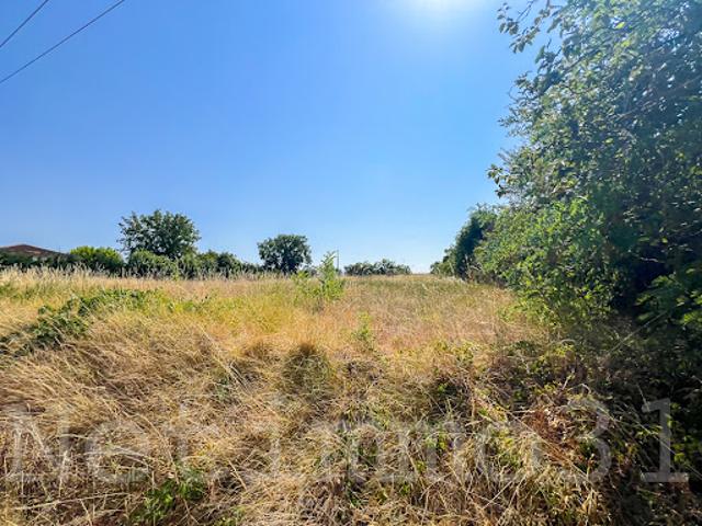 Vente Terrain 2807 m2 Puylaurens