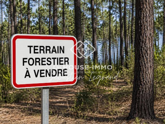 Vente Terrain 2811 m2 Biganos