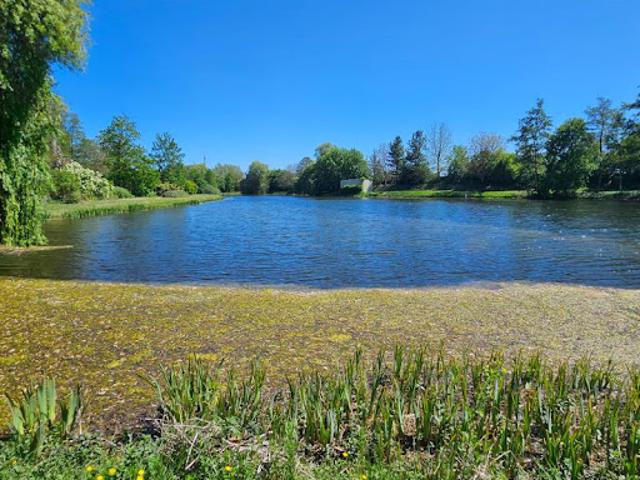 Vente Terrain 28373 m2 Auménancourt