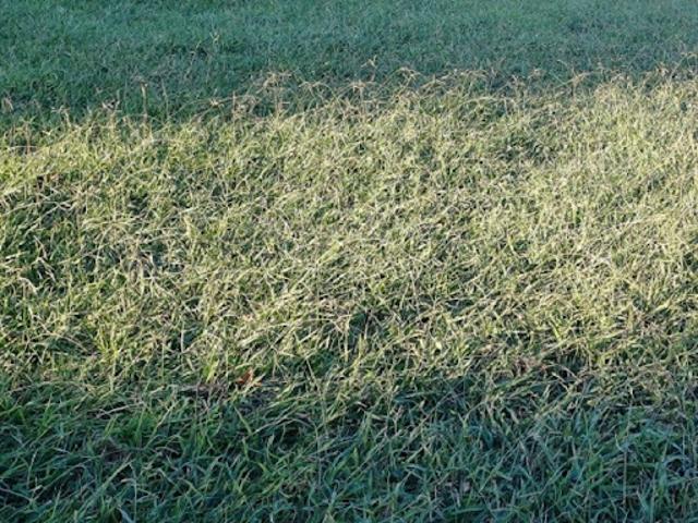 Vente Terrain 287 m2 Cabestany
