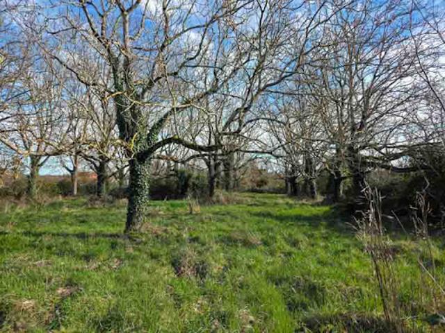 Vente Terrain 2856 m2 Sauzé Vaussais