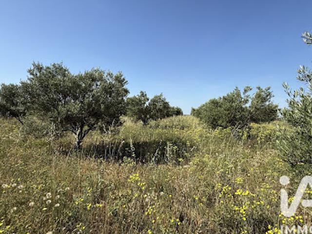 Vente Terrain 28595 m2 Paulhan