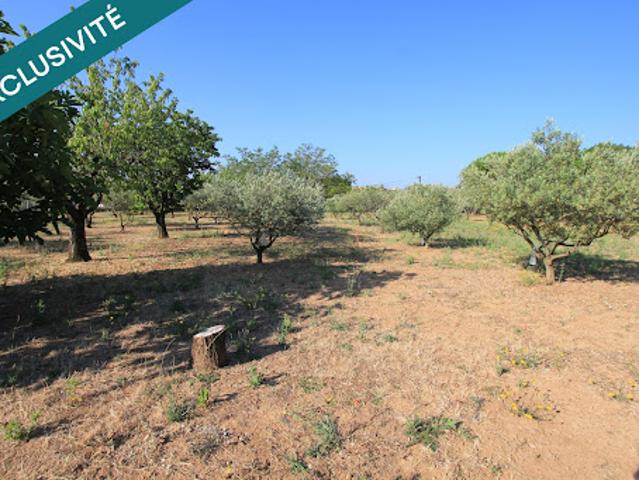 Vente Terrain constructible 2860 m2 Régusse