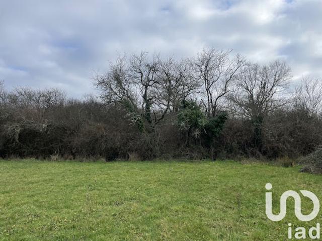 Vente Terrain 2866 m2 Dunet