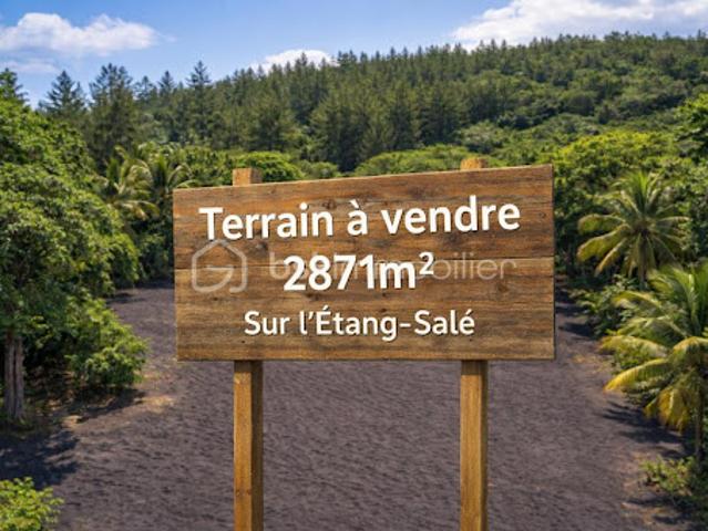 Vente Terrain 2871 m2 L'Etang Sale