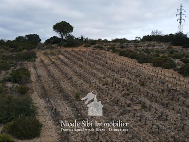 Vente Terrain 2880 m2 Tautavel