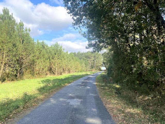 Vente Terrain 2890 m2 Langon