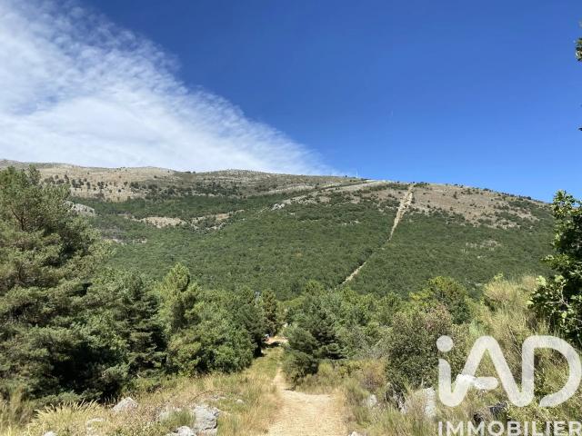 Vente Terrain 28 000 m²