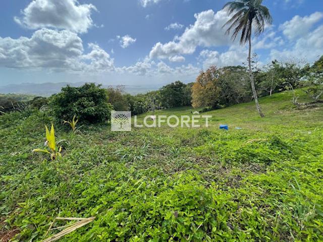 Vente Terrain 2900 m2 Sainte luce