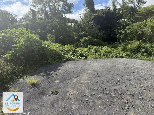 Vente Terrain 290 m2 Le tampon