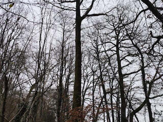 Vente Terrain 29105 m2 La Chapelotte