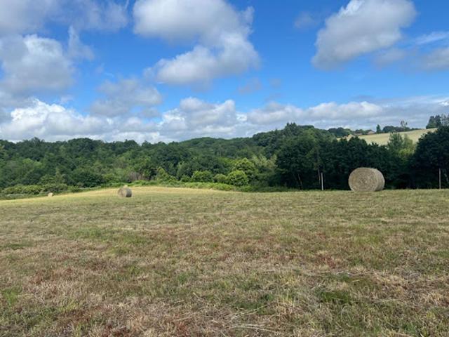 Vente Terrain 29147 m2 Saint Yrieix la Perche