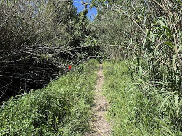 Vente Terrain 2926 m2 Perpignan