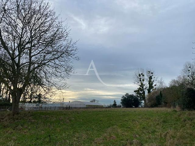 Vente Terrain 2934 m2 Argoules