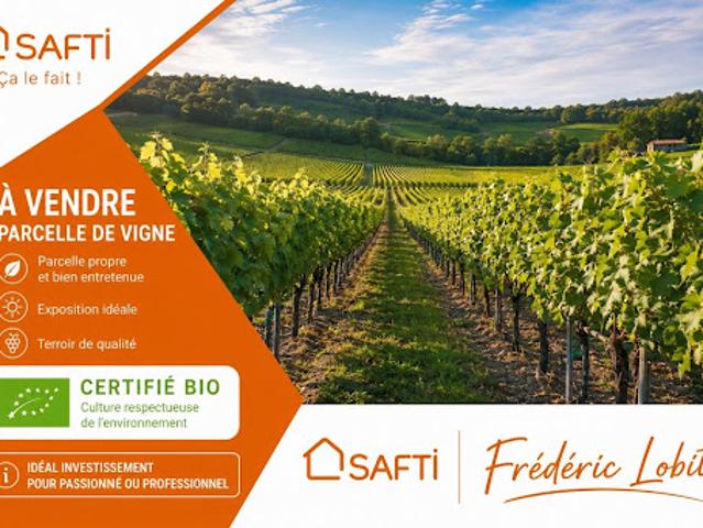 Vente Terrain 29380 m2 Saint Sulpice de Faleyrens